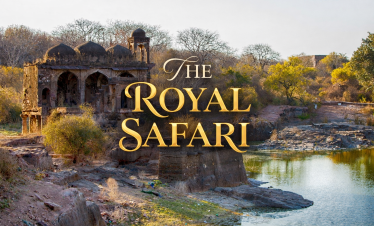 THE ROYAL SAFARI