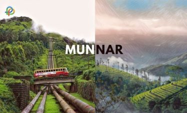 The wild heart of Kerala.