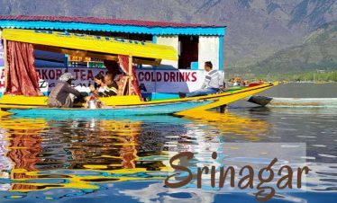 Experience the Magic of Dal Lake with Romantic Shikara Ride