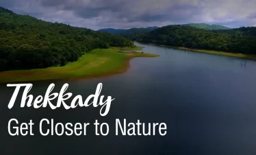 Experience Kerala in one unforgettable journey.