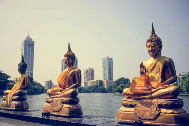 Sri Lanka tour package with beaches and wildlife DelightVacation